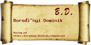 Borsányi Dominik névjegykártya
